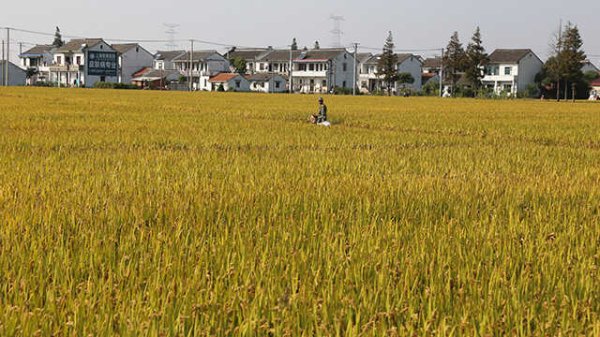 盈亚配资 中共中央 国务院印发《关于实施自由贸易试验区提升战略的意见》