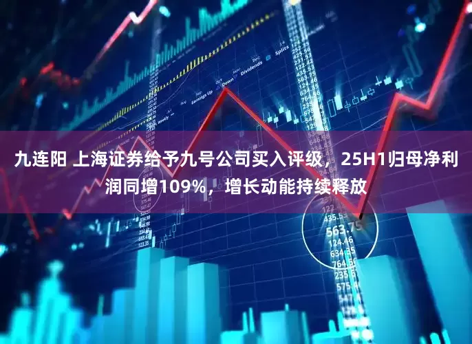 九连阳 上海证券给予九号公司买入评级，25H1归母净利润同增109%，增长动能持续释放
