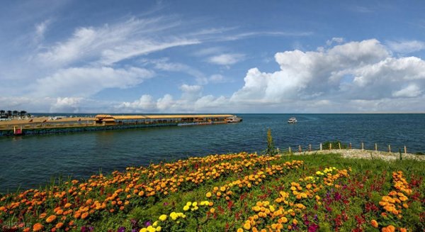 洪萨速配 不要强行信任他人